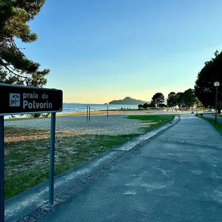 Pardela Poio